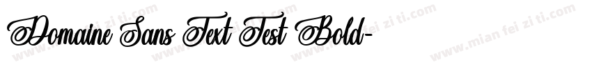 Domaine Sans Text Test Bold字体转换